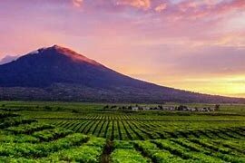 Image result for gunung kerinci