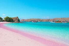 Image result for pantai pink